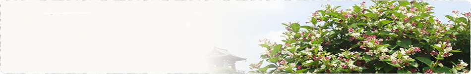 社員ブログ